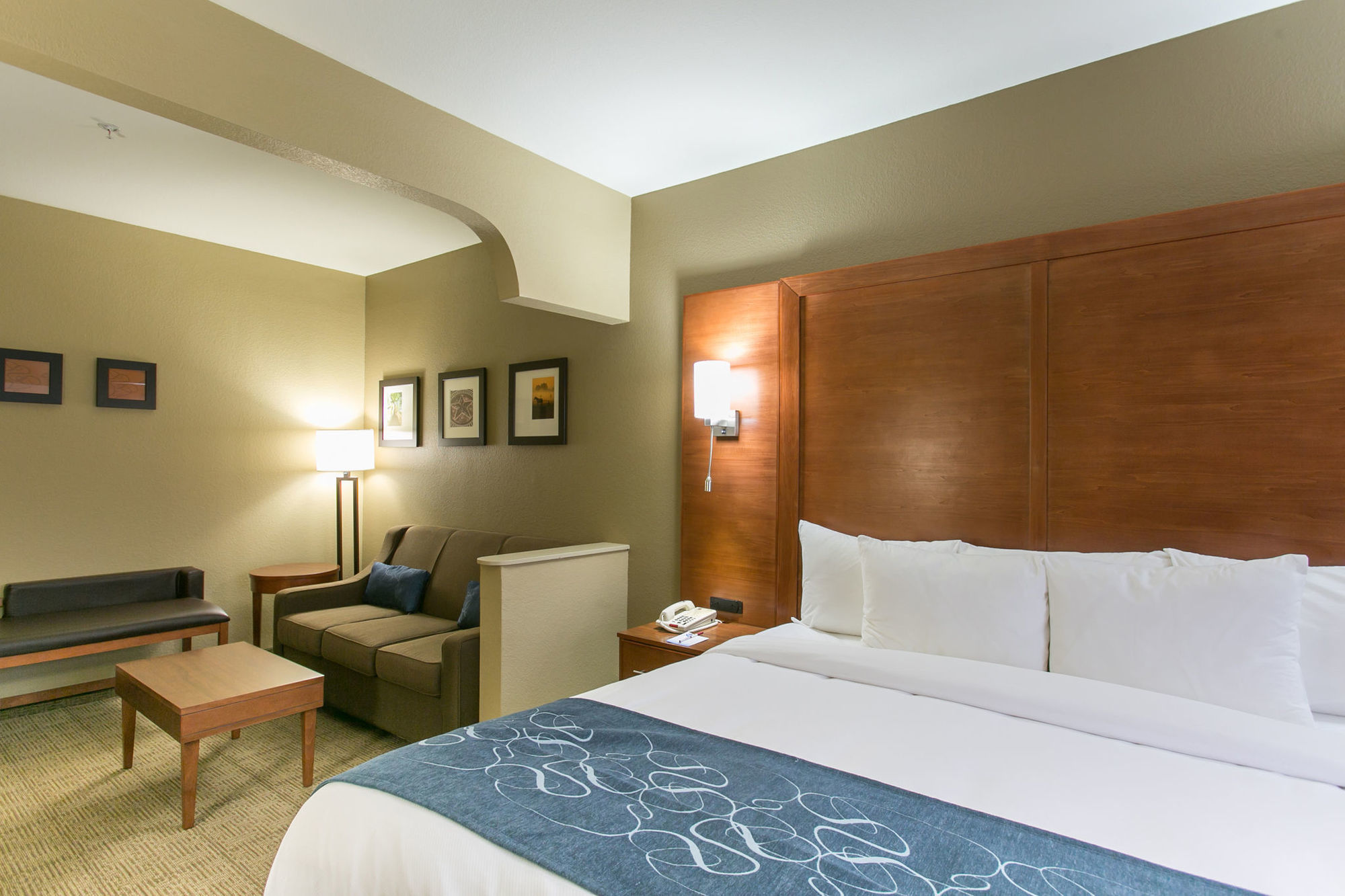 Comfort Suites Austin Nw Lakeline Стая снимка